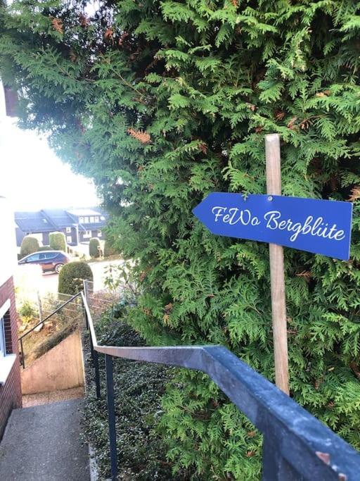 Ferienwohnung Bergbluete Braunlage Buitenkant foto