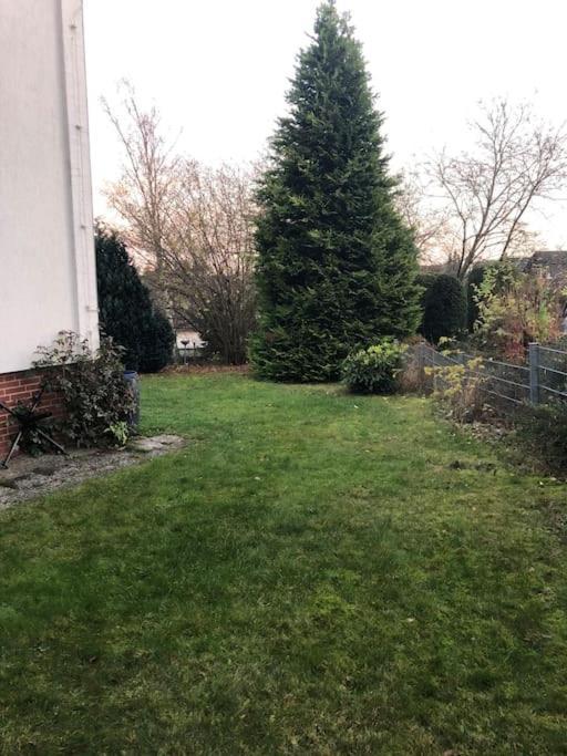 Ferienwohnung Bergbluete Braunlage Buitenkant foto