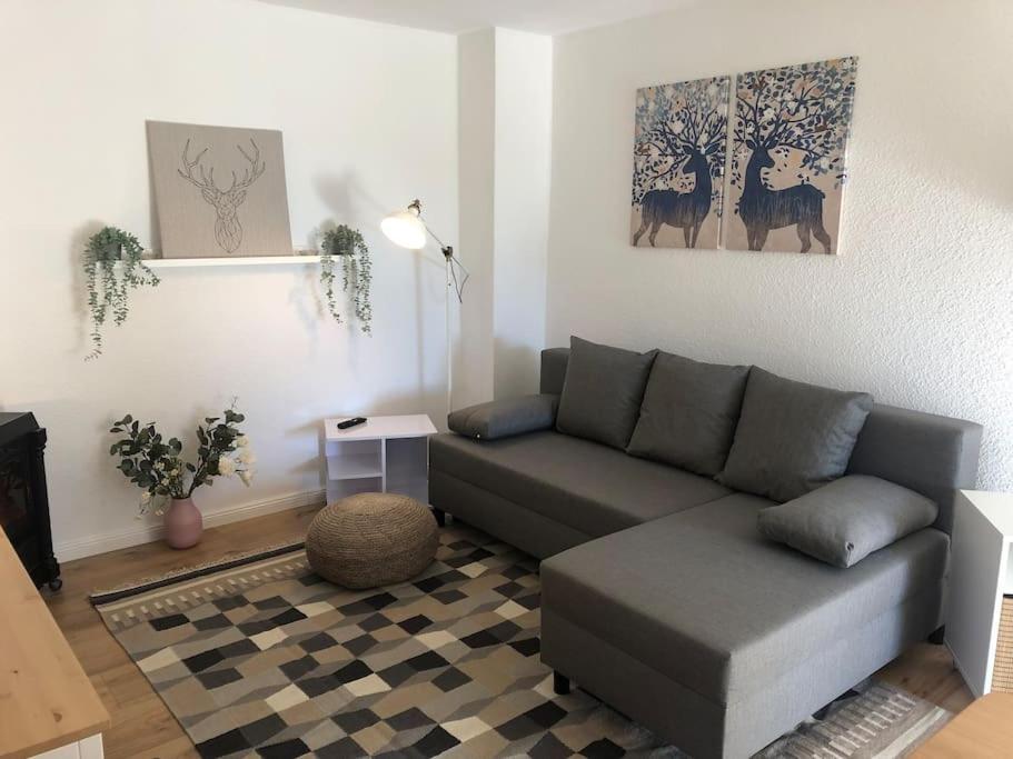 Ferienwohnung Bergbluete Braunlage Buitenkant foto