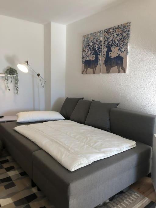 Ferienwohnung Bergbluete Braunlage Buitenkant foto